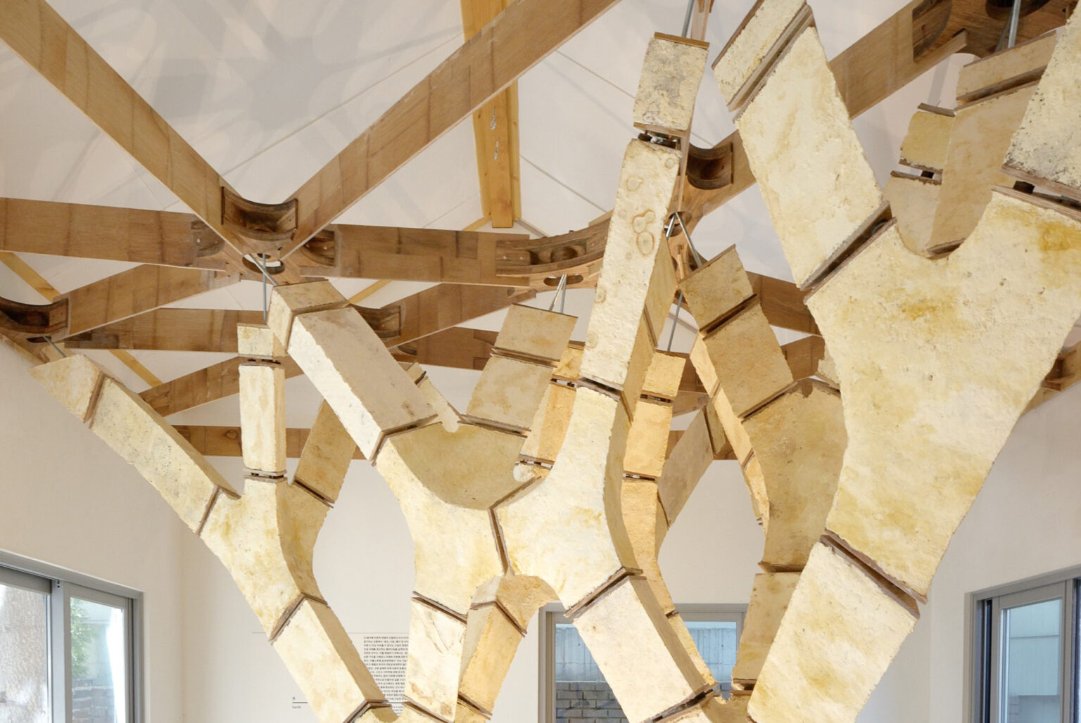 micelio-en-la-arquitectura